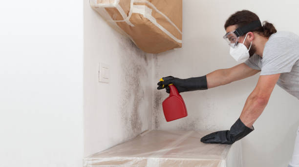 Professional Bathroom Mold Removal technician working in Norcross, GA